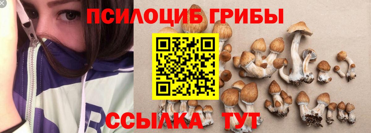купить наркотик  Вход с VPN  Миллерово  Галлюциногенные грибы ЛСД 